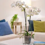 Casa Comoda A Due Passi Dal Lungomare * Alghero