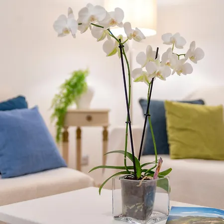 Casa Comoda A Due Passi Dal Lungomare * 알게로